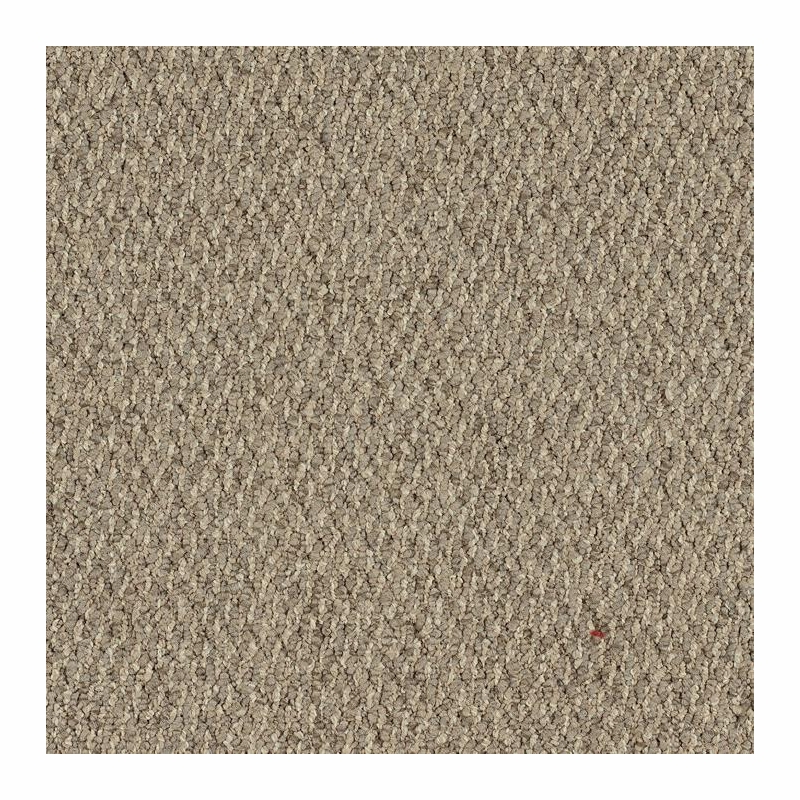 Patcraft Socrates II Schiller Carpet Tile