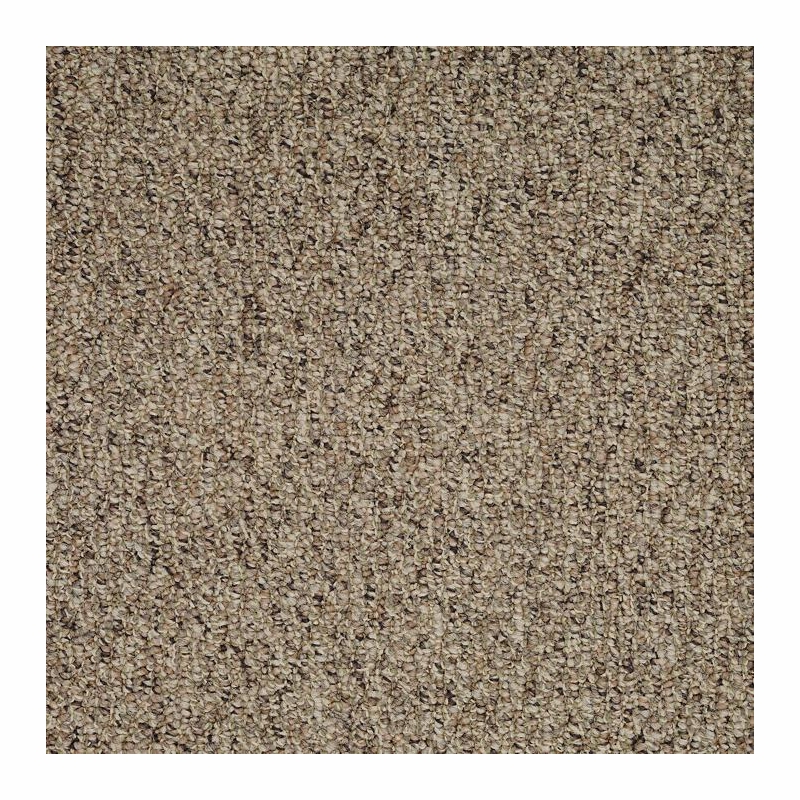 Patcraft Socrates II Sorel Carpet Tile