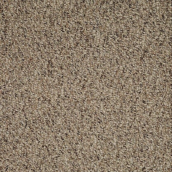 Patcraft Socrates II Sorel Carpet Tile
