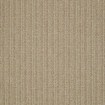 Patcraft Stride Amble Carpet