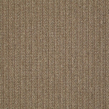 Patcraft Stride Cantor Carpet