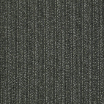 Patcraft Stride Gallop Carpet