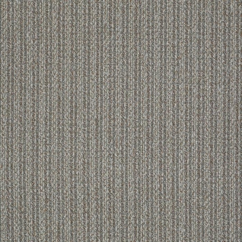 Patcraft Stride Parade Carpet