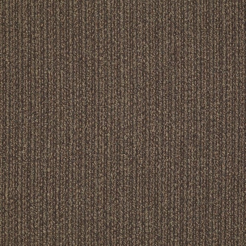 Patcraft Stride Saunter Carpet