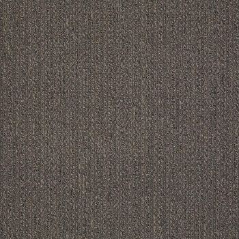 Patcraft Stride Stroll Carpet