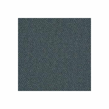 Patcraft Technique Cautious Carpet