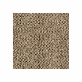 Patcraft Technique Literal Carpet