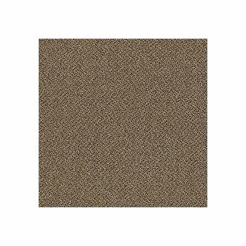 Patcraft Technique Novel Carpet