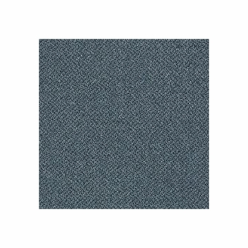 Patcraft Technique Shotgun Carpet