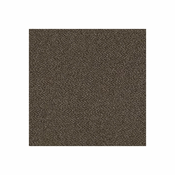 Patcraft Technique Structured Carpet