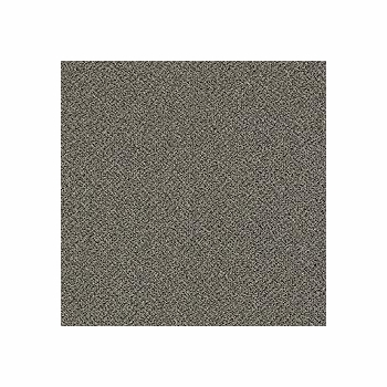 Patcraft Technique Stylized Carpet
