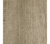 Patcraft Timber Grove II Heather 12 mil