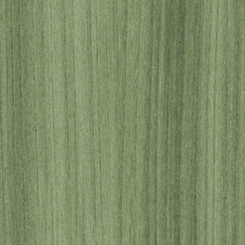 Patcraft Timber Grove II SPC Cactus