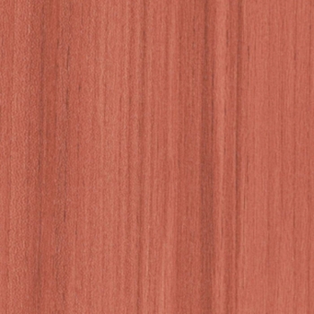 Patcraft Timber Grove II SPC Coral