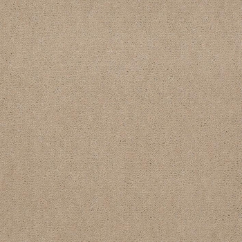 Patcraft Windswept Beach Carpet