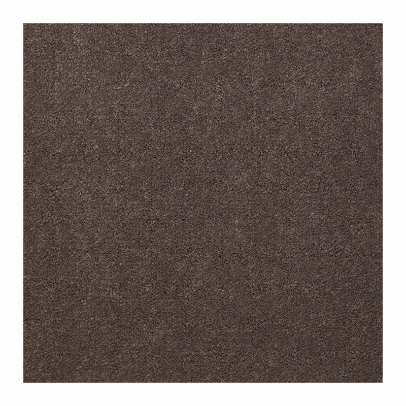 Patcraft Windswept Fox Carpet