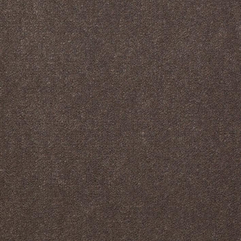 Patcraft Windswept Fox Carpet