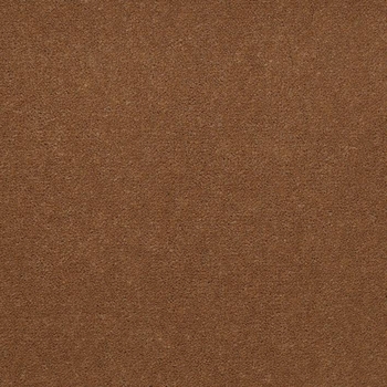 Patcraft Windswept Graham Carpet
