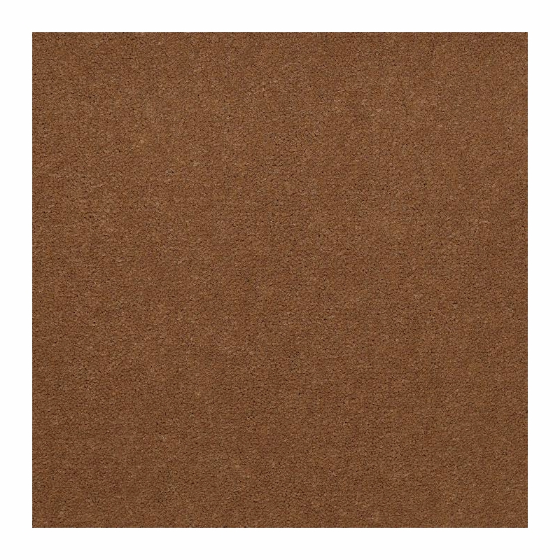 Patcraft Windswept Graham Carpet