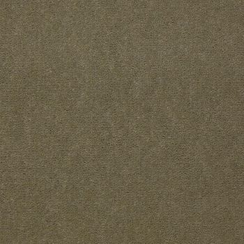 Patcraft Windswept Herb Carpet