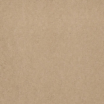 Patcraft Windswept Honey Carpet