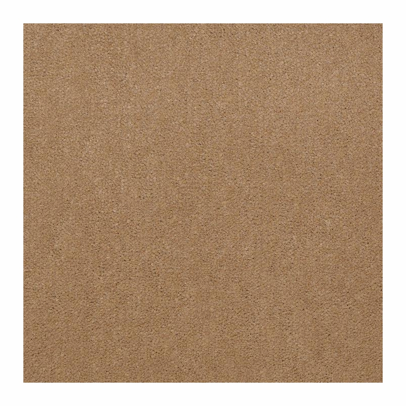 Patcraft Windswept Llama Carpet