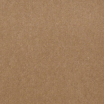 Patcraft Windswept Llama Carpet