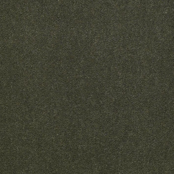 Patcraft Windswept Sea Glass Carpet