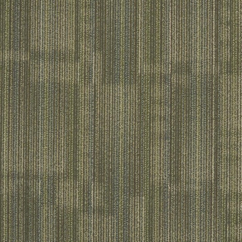 Patcraft Wisdom Experience Sensation Carpet Tile