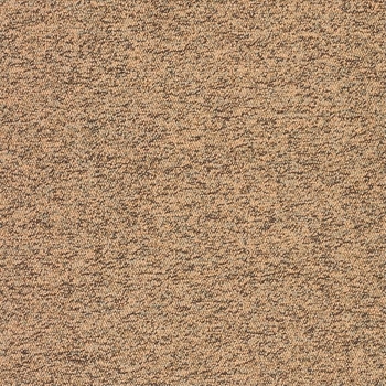 Patcraft Work It Long Stare Carpet