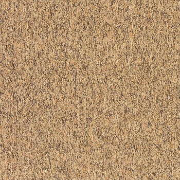 Patcraft Work It Strike A Pose Carpet