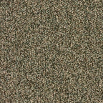 Patcraft Work It Strut Carpet