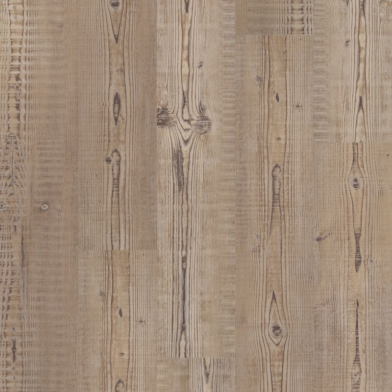 Philadelphia Ardent Accent Pine