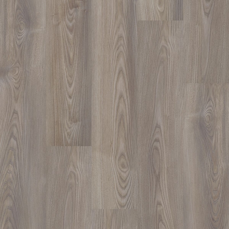 Philadelphia Ardent Grey Chestnut