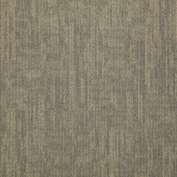Philadelphia Carbon Copy Transfer