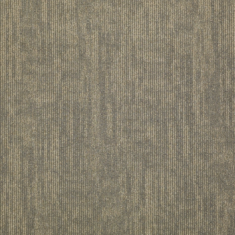Philadelphia Carbon Copy Transfer