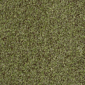 Philadelphia Commercial Arbor View Mossy Bark