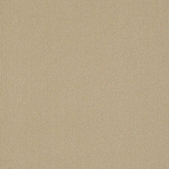 Philadelphia Commercial Color Accents 18x36 Cashmere