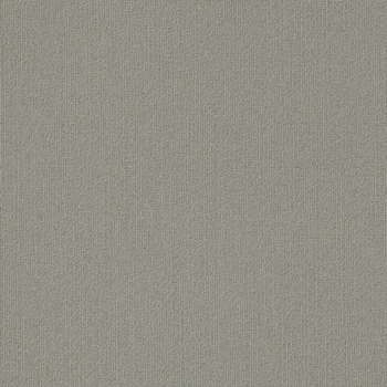 Philadelphia Commercial Color Accents 18x36 Cement