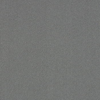 Philadelphia Commercial Color Accents 18x36 Dolphin
