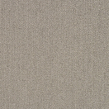 Philadelphia Commercial Color Accents 18x36 Mineralite