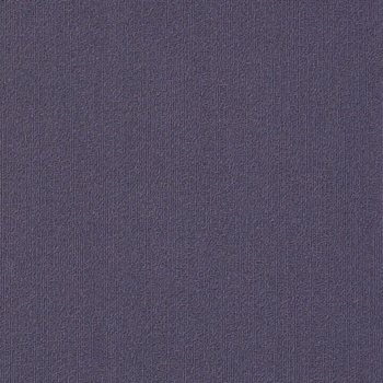 Philadelphia Commercial Color Accents 18x36 Plumberry