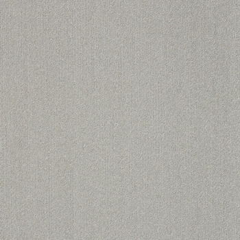 Philadelphia Commercial Color Accents 18x36 Silver