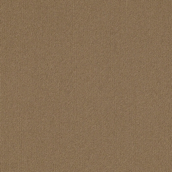 Philadelphia Commercial Color Accents 18x36 Tobacco