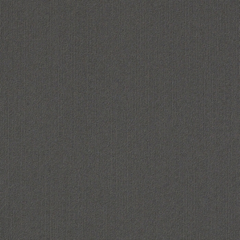 Philadelphia Commercial Color Accents 24x24 Ash