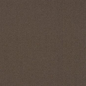 Philadelphia Commercial Color Accents 24x24 Bark