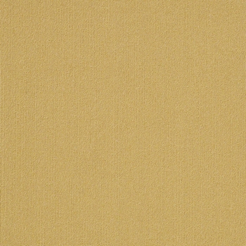 Philadelphia Commercial Color Accents 24x24 Ochre