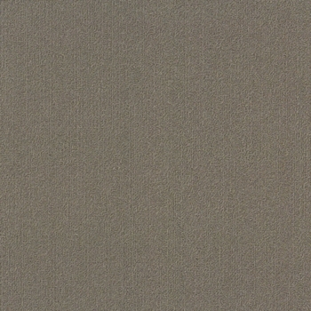 Philadelphia Commercial Color Accents 24x24 Portabella