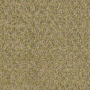 Philadelphia Commercial Gardenscape Wheat Grass