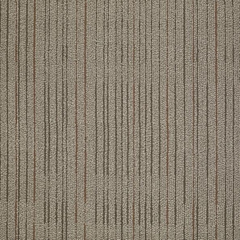 Philadelphia Commercial Immerse Consume Carpet Tile